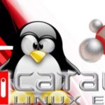 amd_catalyst_linux_ready